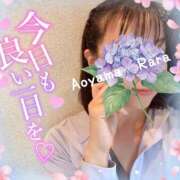 ヒメ日記 2025/06/05 09:04 投稿 青山らら(あおやまらら) 五十路マダムエクスプレス厚木店(カサブランカグループ)