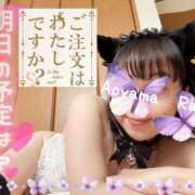 ヒメ日記 2025/06/06 11:04 投稿 青山らら(あおやまらら) 五十路マダムエクスプレス厚木店(カサブランカグループ)