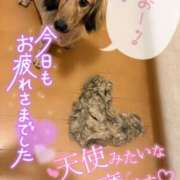 ヒメ日記 2025/09/18 17:04 投稿 青山らら(あおやまらら) 五十路マダムエクスプレス厚木店(カサブランカグループ)