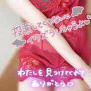 ヒメ日記 2025/11/25 13:18 投稿 青山らら(あおやまらら) 五十路マダムエクスプレス厚木店(カサブランカグループ)