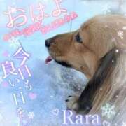 ヒメ日記 2026/02/09 08:46 投稿 青山らら(あおやまらら) 五十路マダムエクスプレス厚木店(カサブランカグループ)