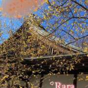 ヒメ日記 2026/02/16 09:32 投稿 青山らら(あおやまらら) 五十路マダムエクスプレス厚木店(カサブランカグループ)