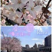 ヒメ日記 2026/03/28 12:08 投稿 青山らら(あおやまらら) 五十路マダムエクスプレス厚木店(カサブランカグループ)