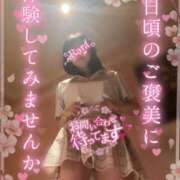 ヒメ日記 2026/04/02 15:08 投稿 青山らら(あおやまらら) 五十路マダムエクスプレス厚木店(カサブランカグループ)