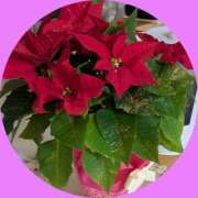 ヒメ日記 2025/12/23 10:20 投稿 みと 奥鉄オクテツ神奈川店（デリヘル市場グループ）