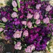 みと おはようございます。 奥鉄オクテツ神奈川店（デリヘル市場グループ）