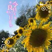 ヒメ日記 2025/08/27 12:01 投稿 あいな ドッチパイモミ 越谷店