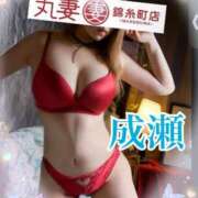 成瀬（なるせ） 明日14時～ 丸妻 錦糸町店