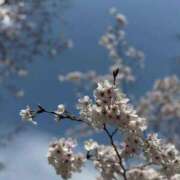 ヒメ日記 2026/04/10 00:59 投稿 癒空（ゆあ） エスペランサ新館