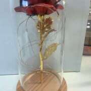 ヒメ日記 2024/12/17 15:38 投稿 なみ 浜松人妻なでしこ(カサブランカグループ)