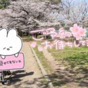 ヒメ日記 2025/04/14 08:01 投稿 さほ ぷるるん小町梅田店