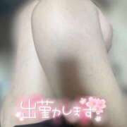 ヒメ日記 2025/05/21 08:46 投稿 さほ ぷるるん小町梅田店