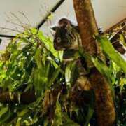 ヒメ日記 2025/01/07 22:32 投稿 あい MIKADO