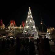 ヒメ日記 2024/12/20 16:48 投稿 杏(あん) グランドオペラ横浜