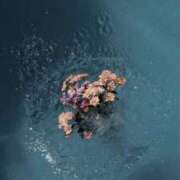 ヒメ日記 2024/12/27 12:24 投稿 杏(あん) グランドオペラ横浜