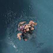 ヒメ日記 2025/01/09 13:41 投稿 杏(あん) グランドオペラ横浜