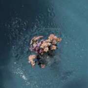 ヒメ日記 2025/01/13 15:11 投稿 杏(あん) グランドオペラ横浜