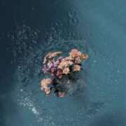 ヒメ日記 2025/01/19 14:31 投稿 杏(あん) グランドオペラ横浜