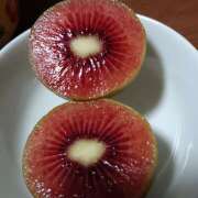 ヒメ日記 2025/04/04 09:13 投稿 あん しゅうかつ倶楽部