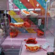 ヒメ日記 2025/09/17 08:35 投稿 あん しゅうかつ倶楽部