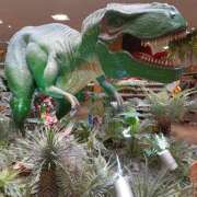 ヒメ日記 2025/10/31 08:07 投稿 あん しゅうかつ倶楽部