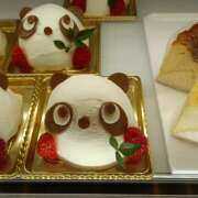 ヒメ日記 2026/01/19 08:07 投稿 あん しゅうかつ倶楽部