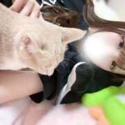 ヒメ日記 2026/04/14 01:35 投稿 香澄　ひな 人妻が愛人