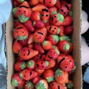 ヒメ日記 2025/04/07 13:17 投稿 ななみ DIVAセカンドシーズン日立店