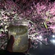 ヒメ日記 2025/05/02 03:17 投稿 ななみ DIVAセカンドシーズン日立店