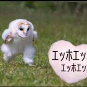 ヒメ日記 2025/05/22 17:27 投稿 ななみ DIVAセカンドシーズン日立店