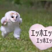 ヒメ日記 2025/04/17 12:07 投稿 ななみ DIVAセカンドシーズン土浦店