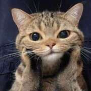 ヒメ日記 2025/05/02 01:37 投稿 ななみ DIVAセカンドシーズン土浦店