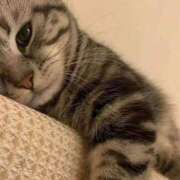 ヒメ日記 2025/05/05 03:57 投稿 ななみ DIVAセカンドシーズン土浦店