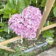 ヒメ日記 2025/06/14 17:47 投稿 ななみ DIVAセカンドシーズン土浦店