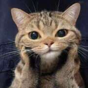 ヒメ日記 2025/06/14 21:17 投稿 ななみ DIVAセカンドシーズン土浦店