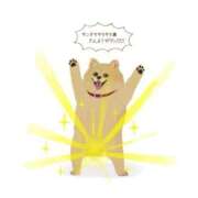 ヒメ日記 2025/11/07 18:33 投稿 ななみ DIVAセカンドシーズン土浦店