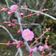 ヒメ日記 2025/03/19 13:57 投稿 ななみ DIVAセカンドシーズン