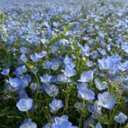 ヒメ日記 2025/05/01 19:54 投稿 ななみ DIVAセカンドシーズン