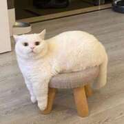 ヒメ日記 2025/06/06 20:27 投稿 ななみ DIVAセカンドシーズン