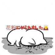 ヒメ日記 2025/03/26 08:54 投稿 エレナ/Elena 英國屋（金津園）