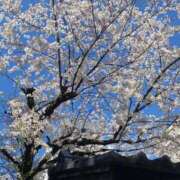 ヒメ日記 2025/04/05 10:43 投稿 エレナ/Elena 英國屋（金津園）