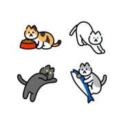 ヒメ日記 2025/02/24 00:06 投稿 しほ club さくら日本橋店