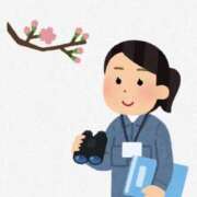 ヒメ日記 2025/03/22 08:36 投稿 しほ club さくら日本橋店