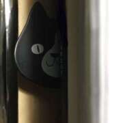 ヒメ日記 2025/04/20 08:36 投稿 しほ club さくら日本橋店