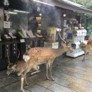 ヒメ日記 2025/07/06 07:56 投稿 しほ club さくら日本橋店