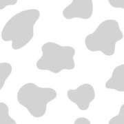 ヒメ日記 2025/11/23 09:06 投稿 しほ club さくら日本橋店