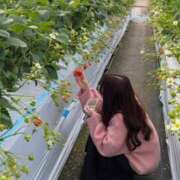 ヒメ日記 2025/02/10 17:02 投稿 橘しおん★ elumo(エルモ)