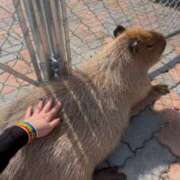 ヒメ日記 2025/03/25 19:52 投稿 橘しおん★ elumo(エルモ)