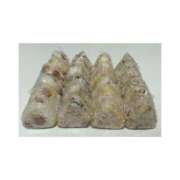 ヒメ日記 2025/04/09 21:55 投稿 橘しおん★ elumo(エルモ)