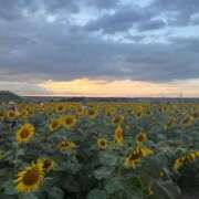 ヒメ日記 2025/09/23 21:55 投稿 橘しおん★ elumo(エルモ)